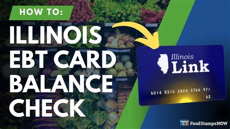 Illinois Link Card Balance Check Instructions .